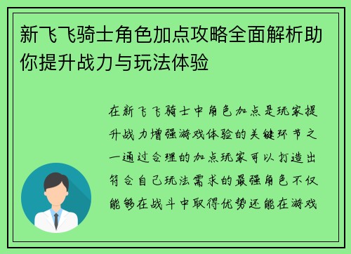 新飞飞骑士角色加点攻略全面解析助你提升战力与玩法体验